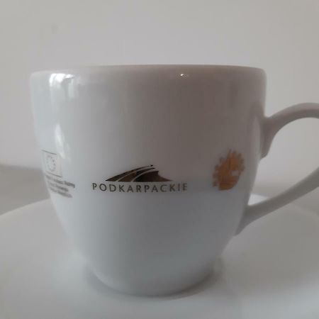 萨诺克Apartament Beksa公寓 外观 照片