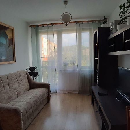 萨诺克Apartament Beksa公寓 外观 照片