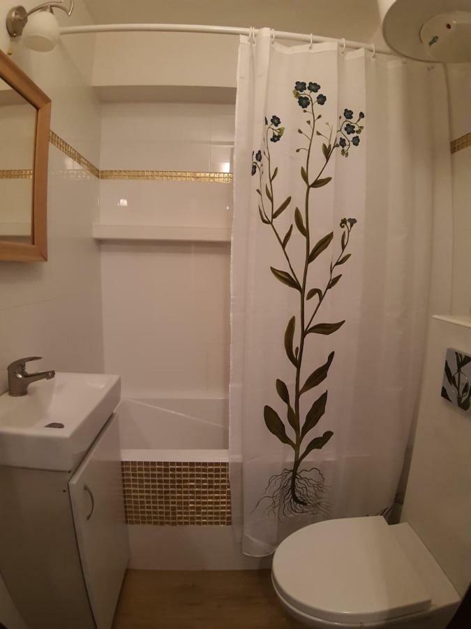萨诺克Apartament Beksa公寓 外观 照片